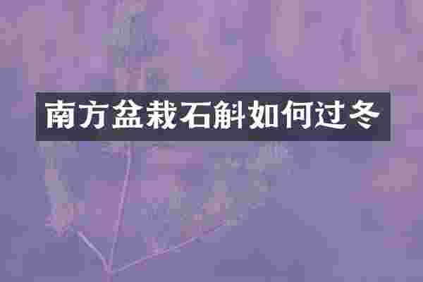 南方盆栽石斛如何过冬
