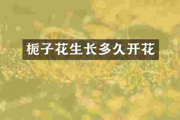 栀子花生长多久开花