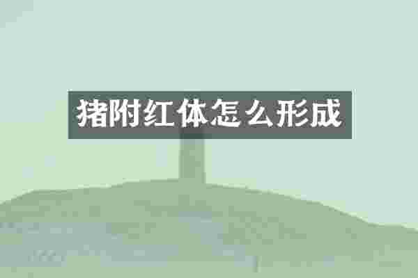 猪附红体怎么形成