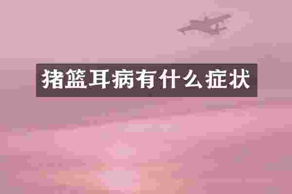 猪篮耳病有什么症状