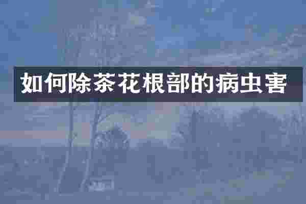 如何除茶花根部的病虫害