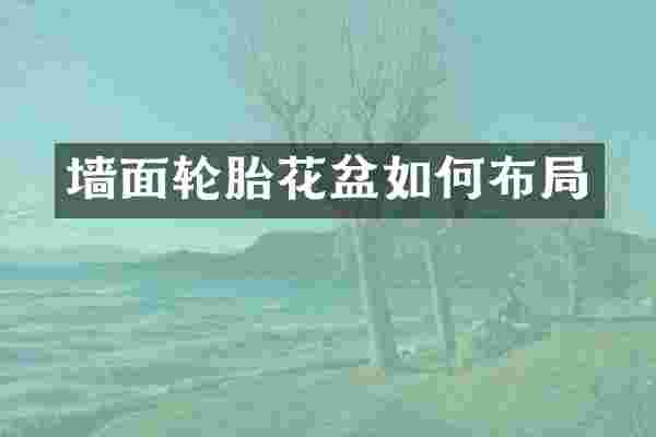 墙面轮胎花盆如何布局