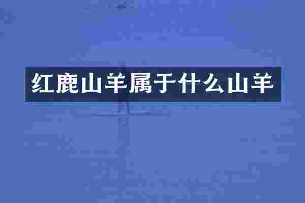 红鹿山羊属于什么山羊