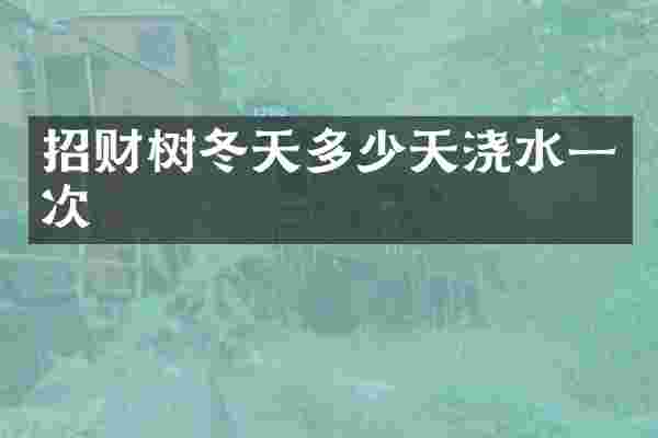 招财树冬天多少天浇水一次