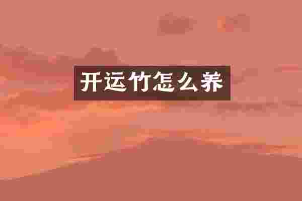 开运竹怎么养