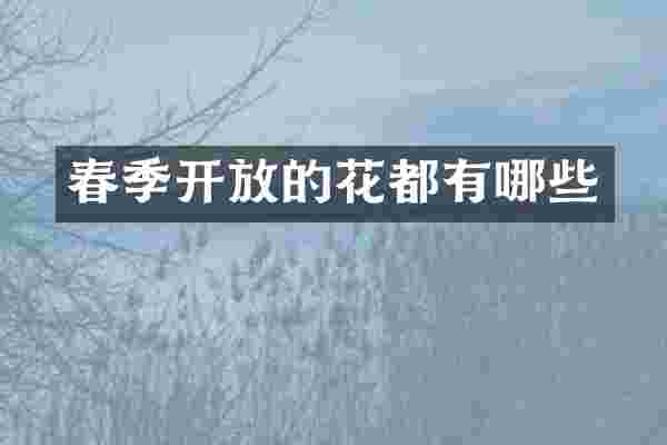 春季开放的花都有哪些