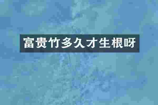 富贵竹多久才生根呀