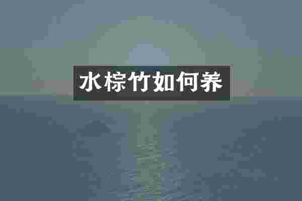 水棕竹如何养
