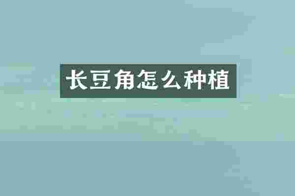 长豆角怎么种植