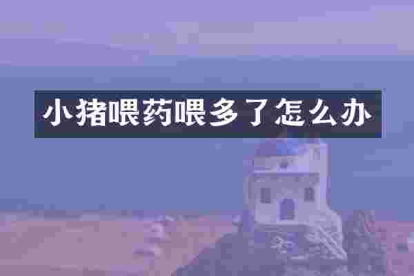 小猪喂药喂多了怎么办