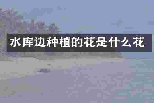 水库边种植的花是什么花