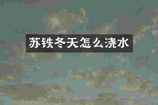 苏铁冬天怎么浇水
