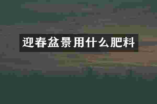 迎春盆景用什么肥料