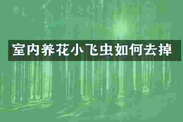 室内养花小飞虫如何去掉