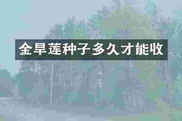金旱莲种子多久才能收
