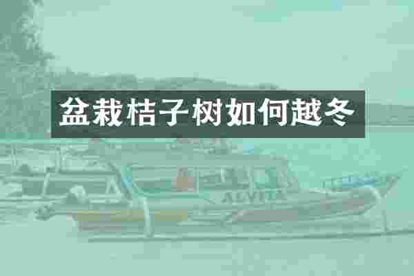 盆栽桔子树如何越冬