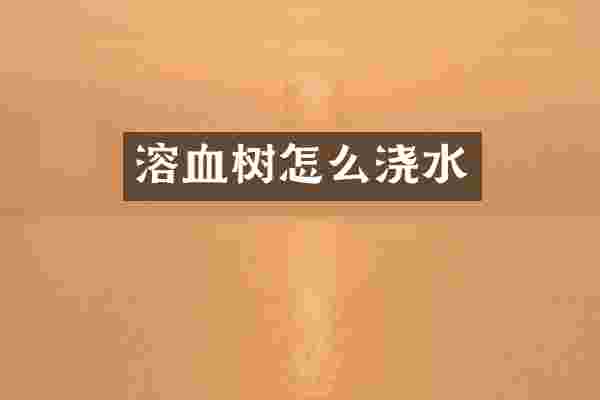 溶血树怎么浇水