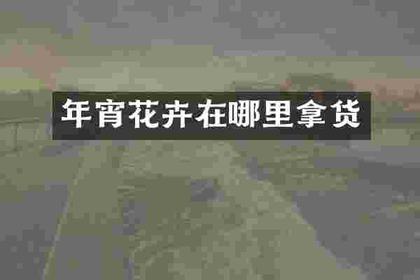 年宵花卉在哪里拿货