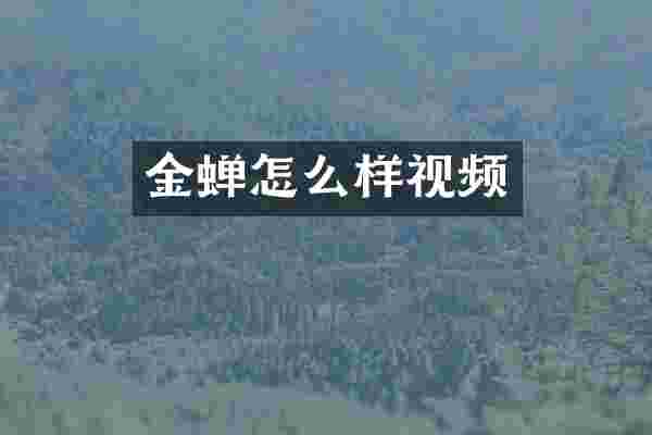 金蝉怎么样视频
