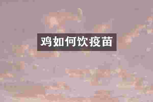 鸡如何饮疫苗