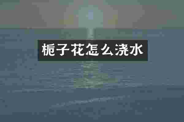 栀子花怎么浇水