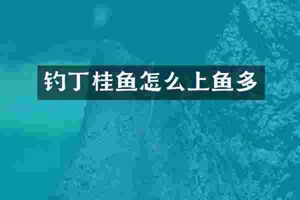 钓丁桂鱼怎么上鱼多