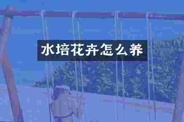 水培花卉怎么养