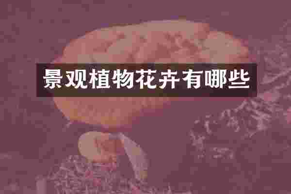 景观植物花卉有哪些
