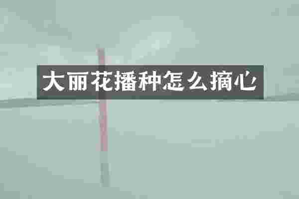 大丽花播种怎么摘心