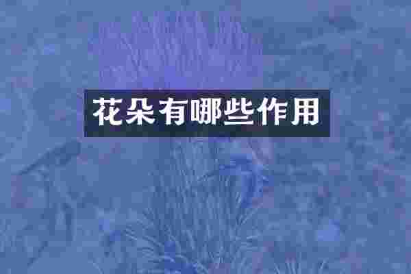 花朵有哪些作用