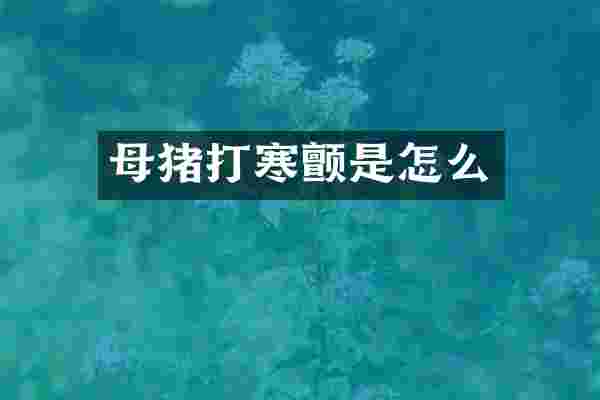 母猪打寒颤是怎么