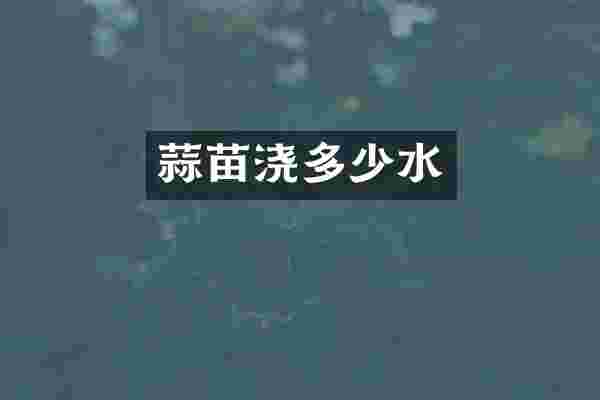 蒜苗浇多少水