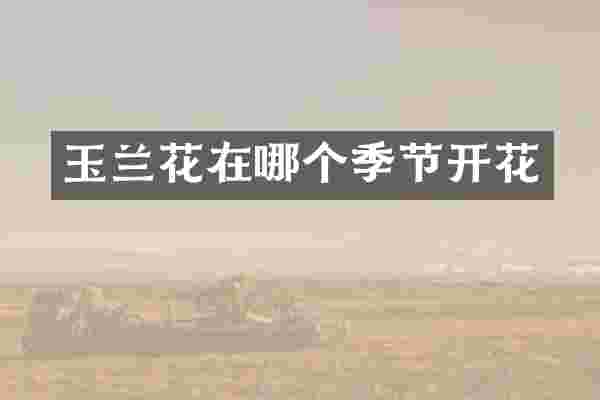 玉兰花在哪个季节开花