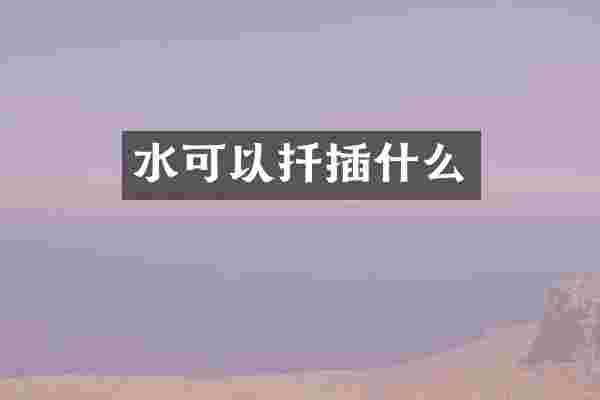 水可以扦插什么