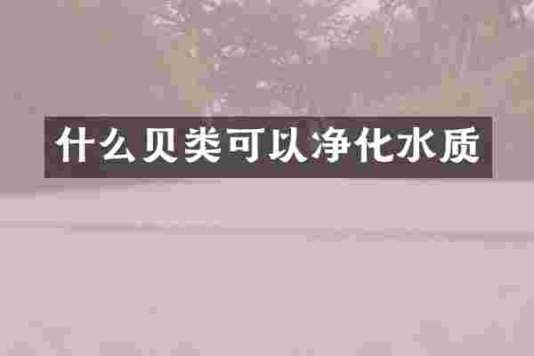 什么贝类可以净化水质