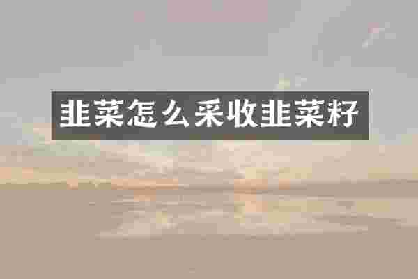 韭菜怎么采收韭菜籽
