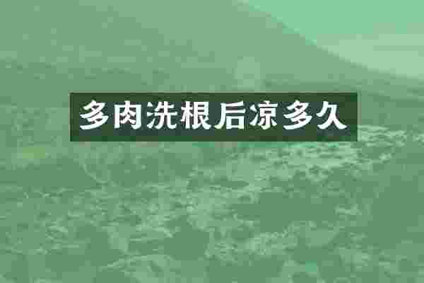多肉洗根后凉多久