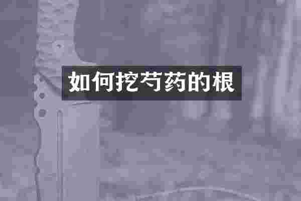 如何挖芍药的根