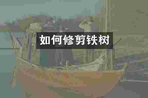 如何修剪铁树