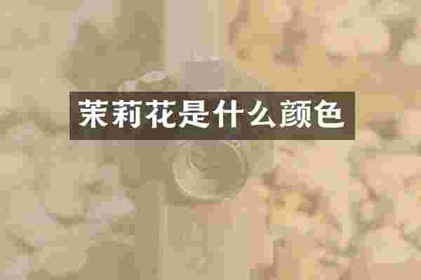 茉莉花是什么颜色