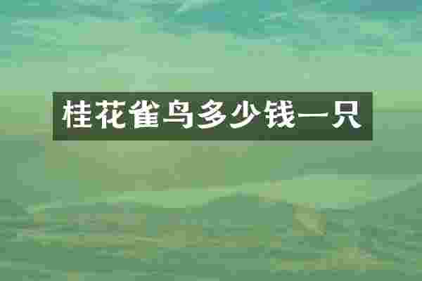 桂花雀鸟多少钱一只