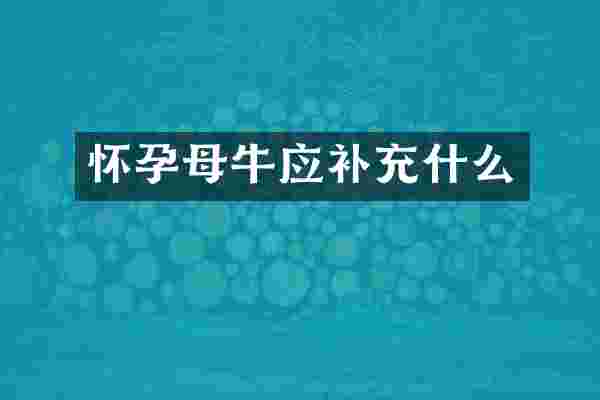 怀孕母牛应补充什么