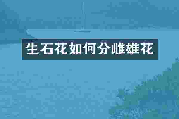 生石花如何分雌雄花