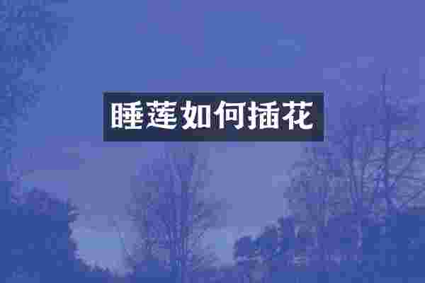 睡莲如何插花