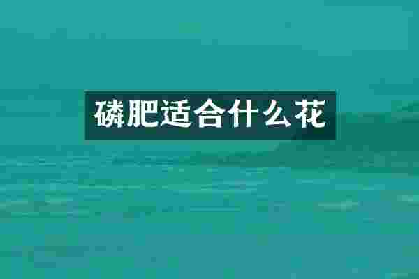 磷肥适合什么花