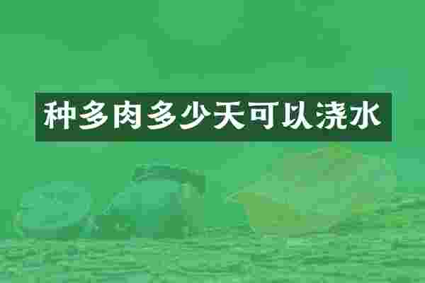 种多肉多少天可以浇水