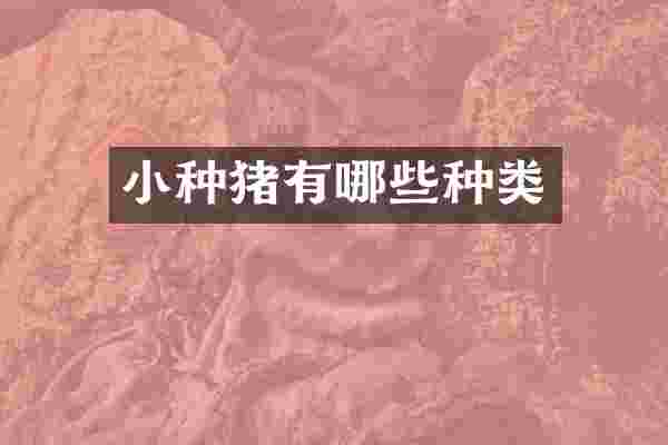 小种猪有哪些种类