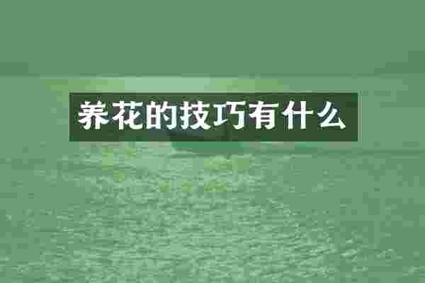 养花的技巧有什么