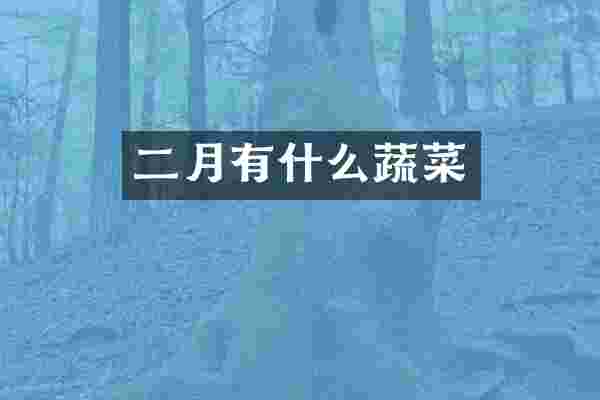 二月有什么蔬菜