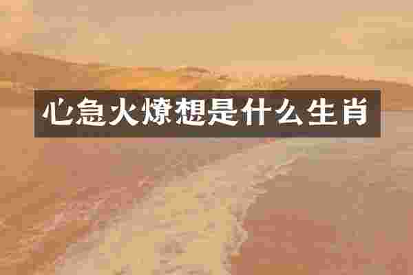 心急火燎想是什么生肖